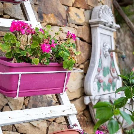 Campeggio Terreditusa - Bungalow Limone Tusa